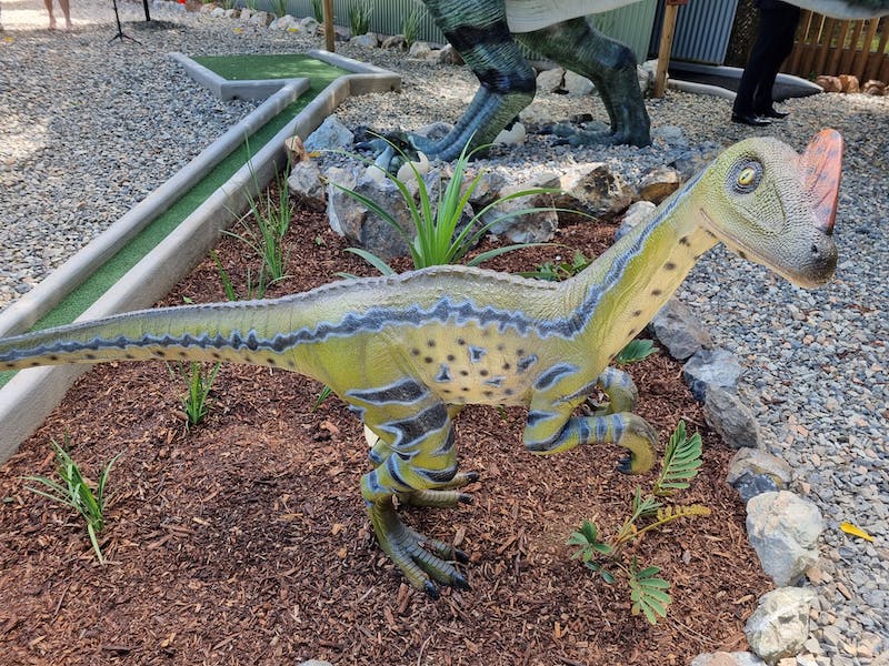 Natureworks Australia Cute dinosaur