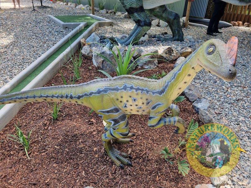 Natureworks Australia Cute dinosaur
