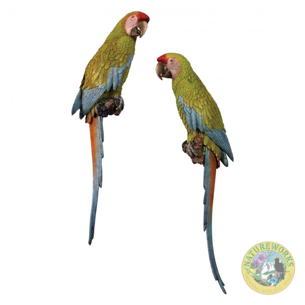 Macaw Buffon set of 2 - 70cm Wall Decor