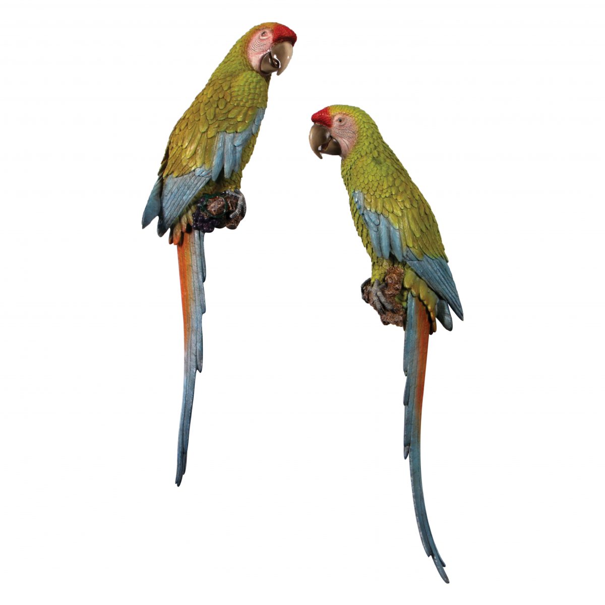 Natureworks Australia Macaw Buffon set of 2 - 70cm Wall Decor
