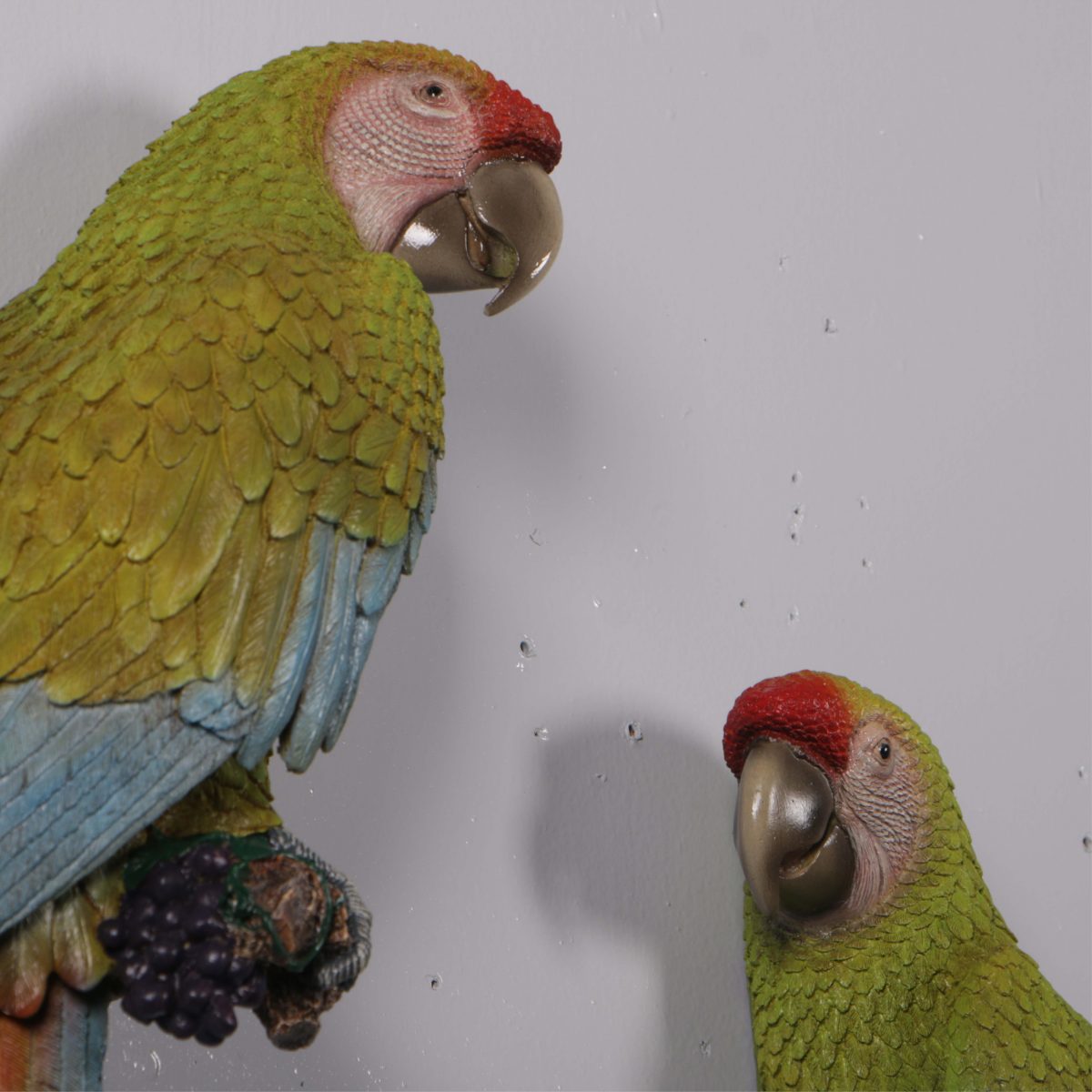 Natureworks Australia Macaw Buffon set of 2 - 70cm Wall Decor - Image 3