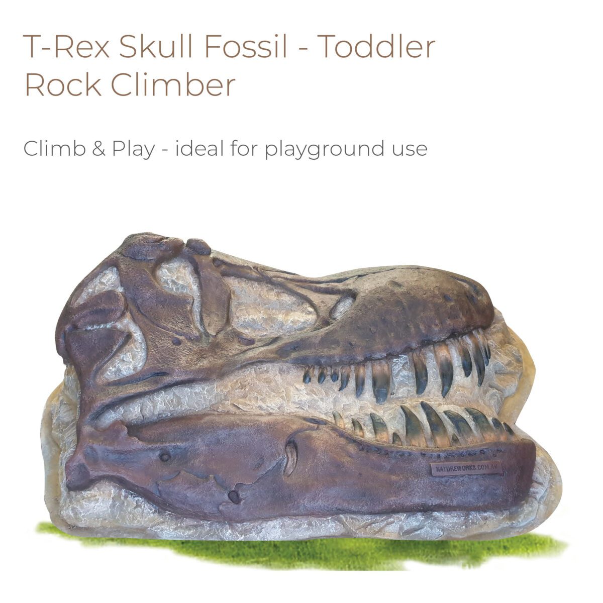 Natureworks Australia T-Rex Skull Fossil - Toddler Rock Climber for sale -