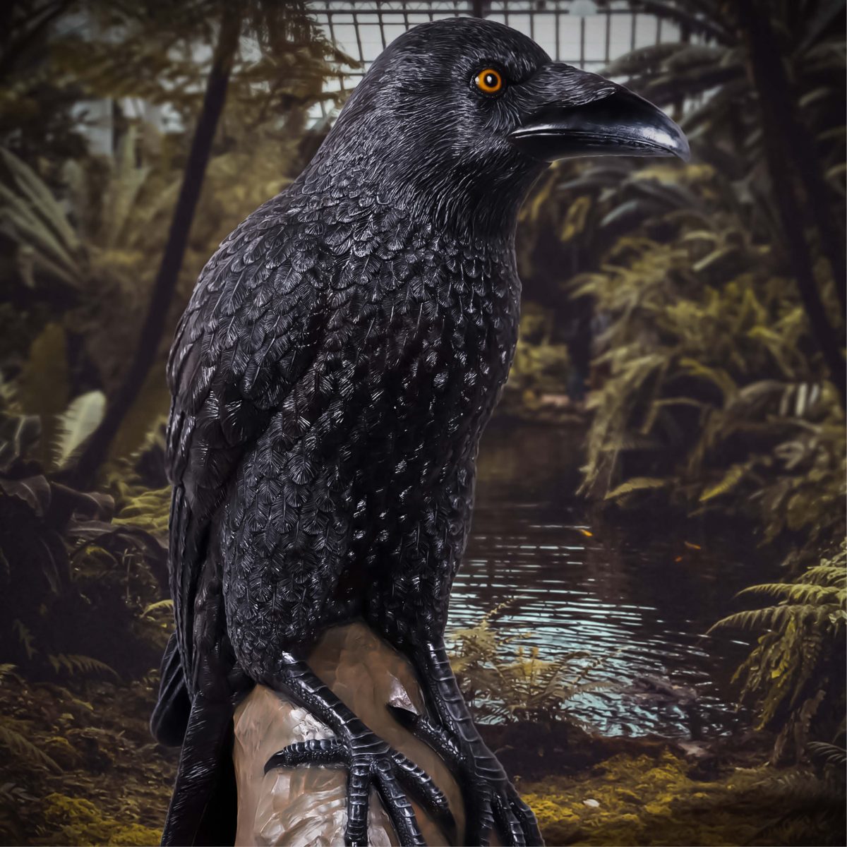 Natureworks Australia Mystic Night Raven - Giant - Image 2