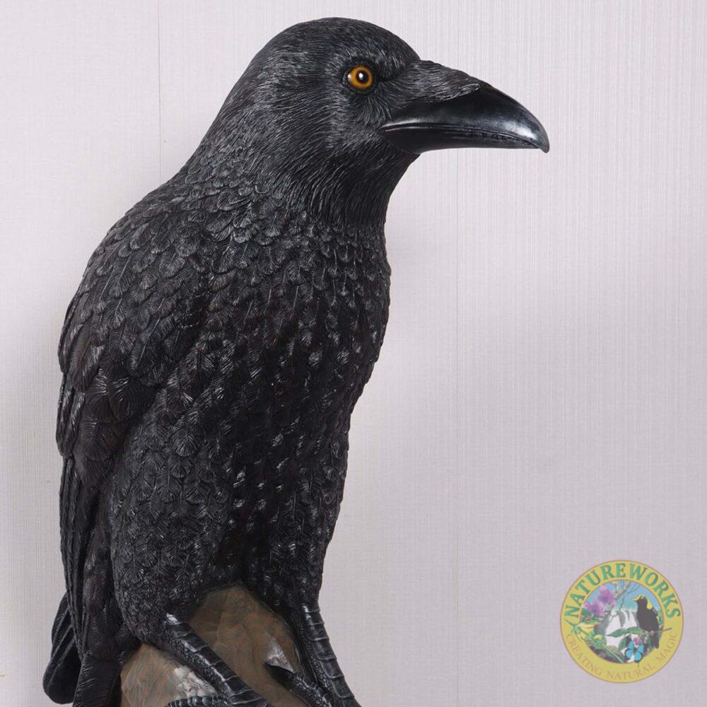 Raven Bird Statue - 150cm high
