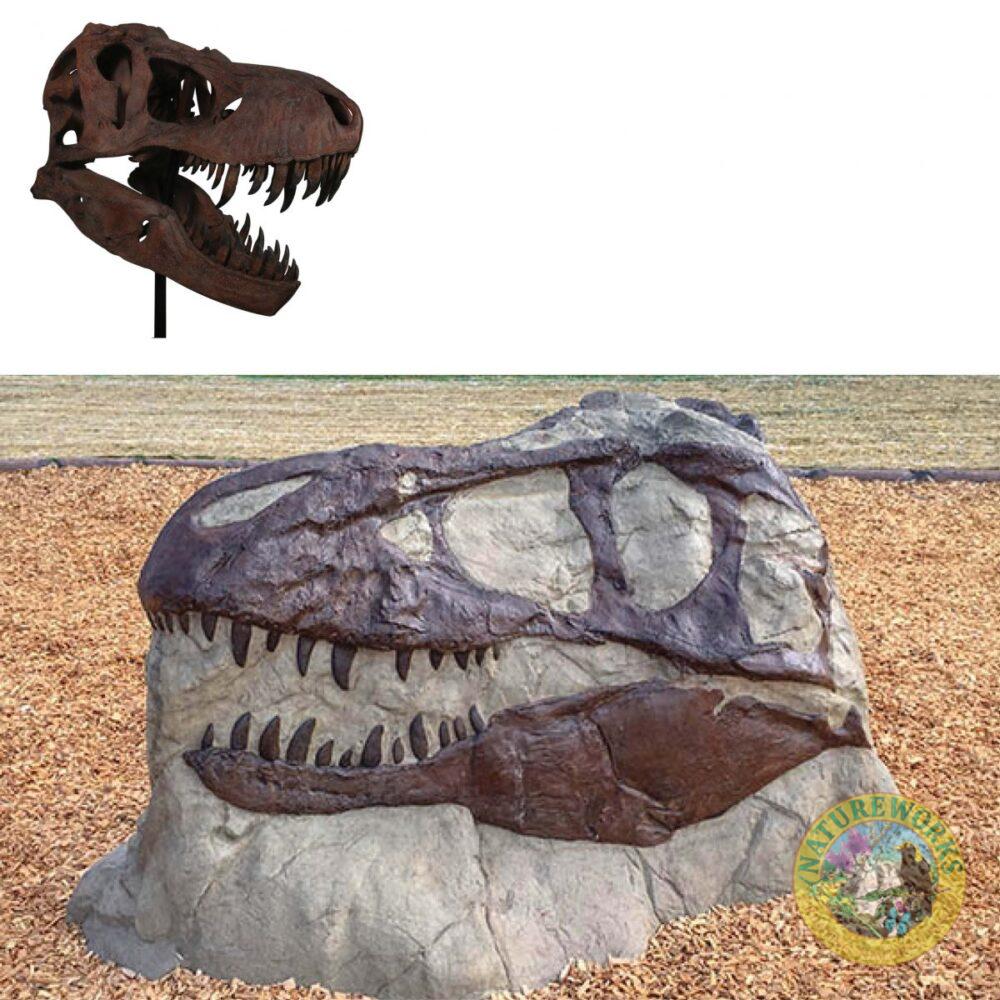 T-REX Skull Fossil - Toddler Rock Climber