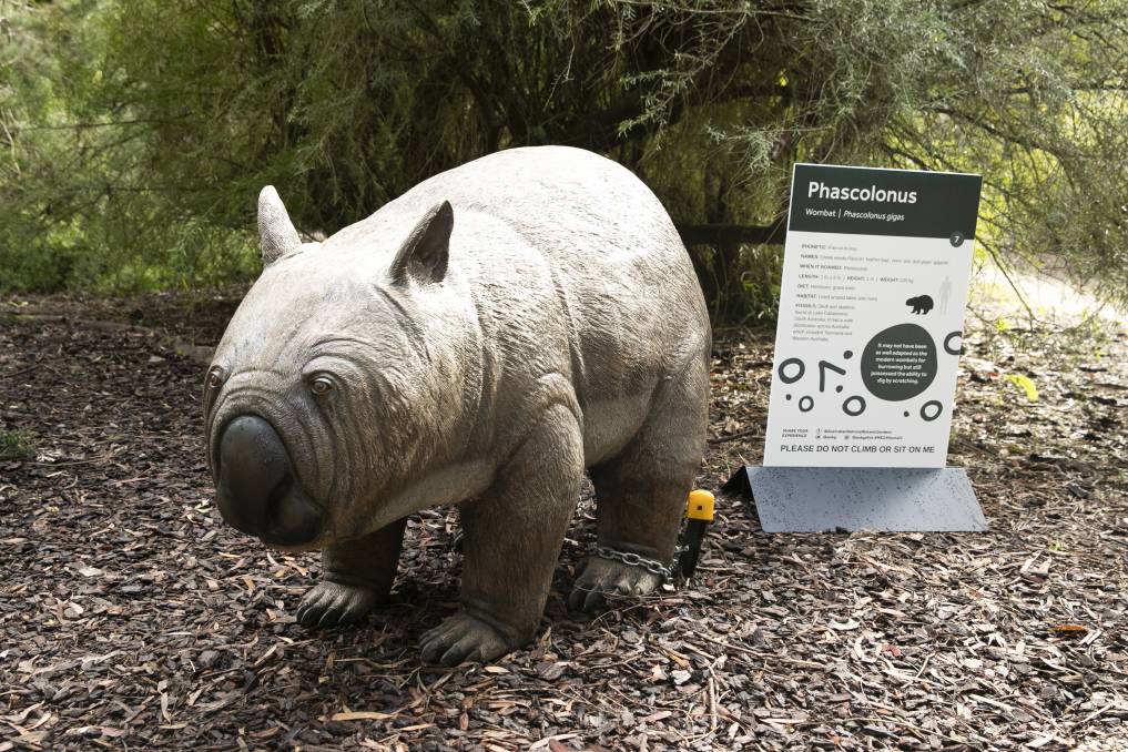 Natureworks Australia Phascolonus sculpture of extinct giant wombat with educational sign at Australian National Botanic Gardens