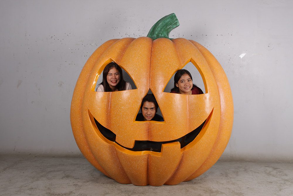 Pumpkin Photo Opportunity