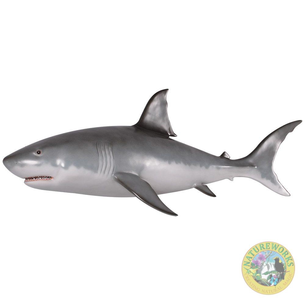 Great White Shark – 6ft – Wall mount