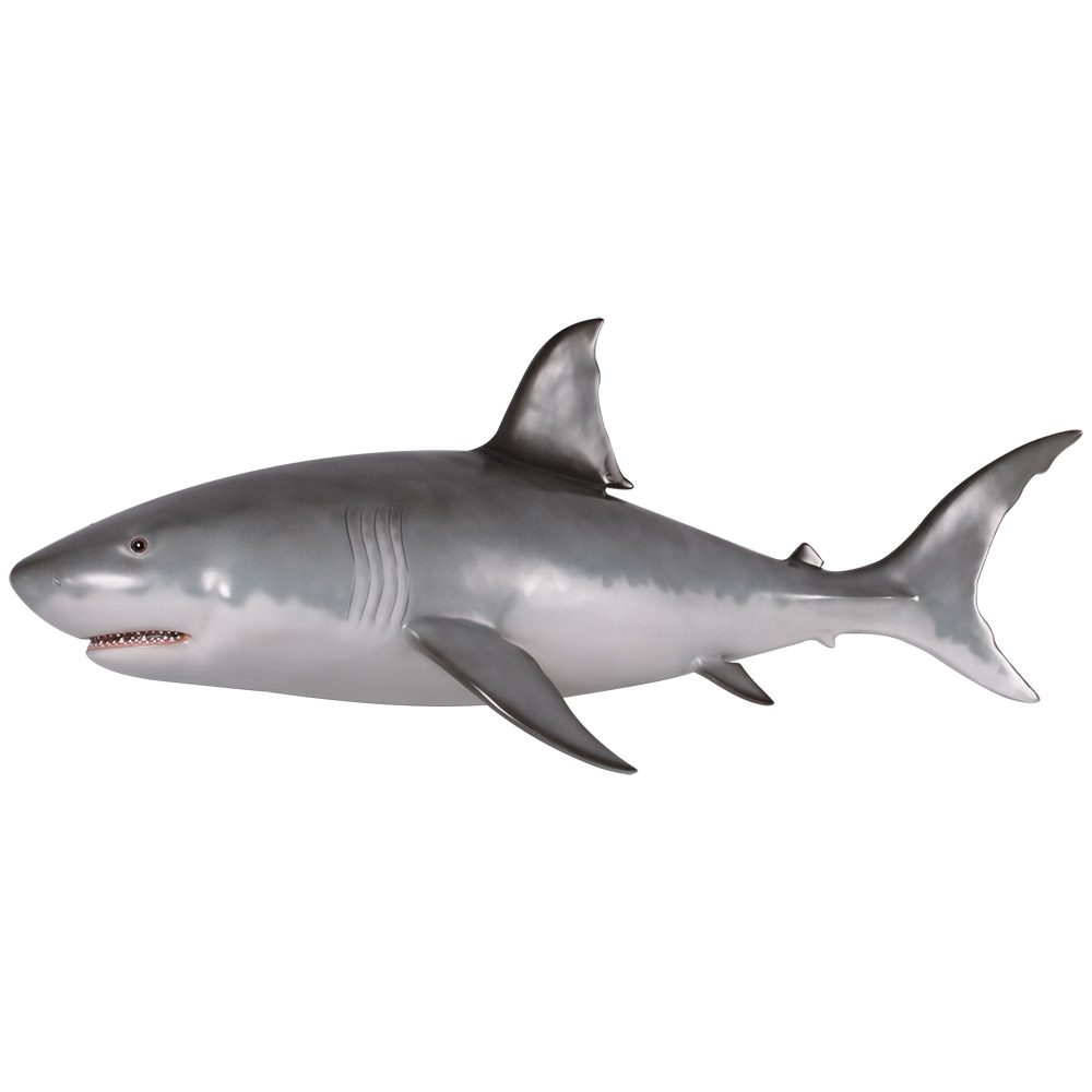Great White Shark – 6ft – Wall mount