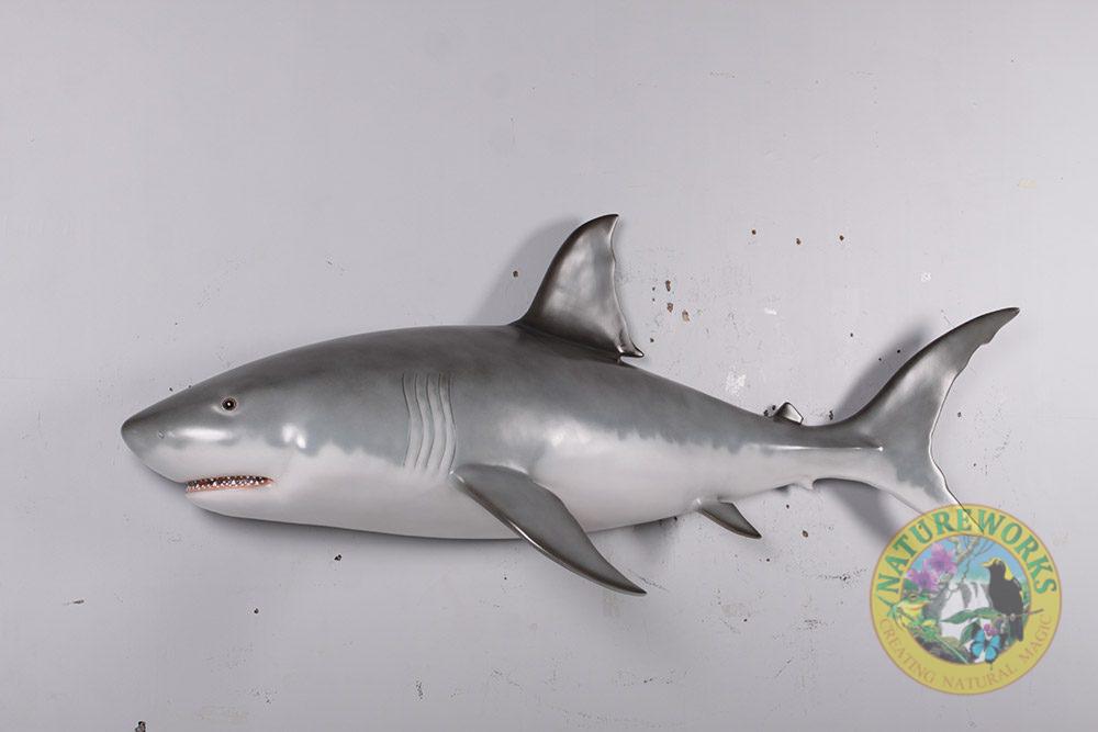 Natureworks Australia Great White Shark – 6ft – Wall mount - Image 2