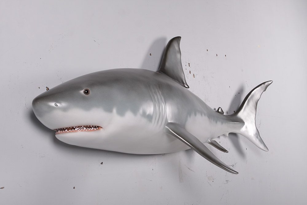 Great White Shark – 6ft – Wall Mount Sculptures In Australia