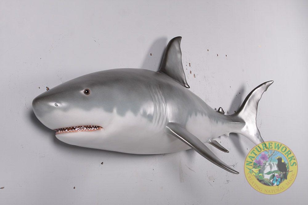 Natureworks Australia Great White Shark – 6ft – Wall mount - Image 3