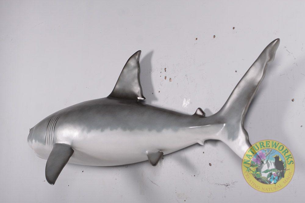 Natureworks Australia Great White Shark – 6ft – Wall mount - Image 4