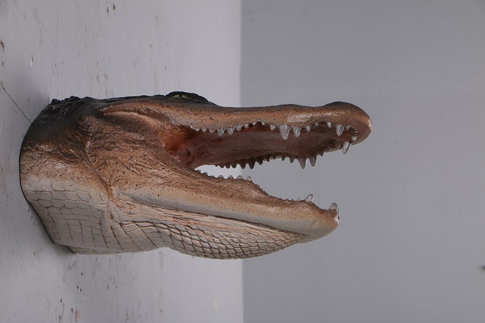 Natureworks Australia Alligator Head - Wall decor - Image 2