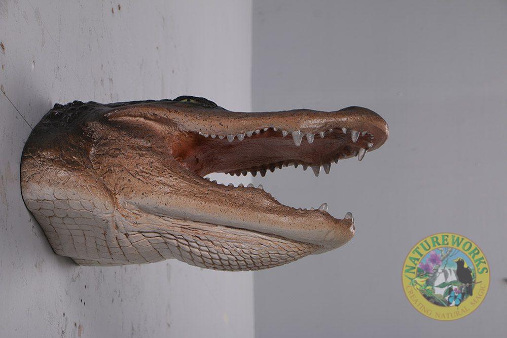 Natureworks Australia Alligator Head - Wall decor - Image 2