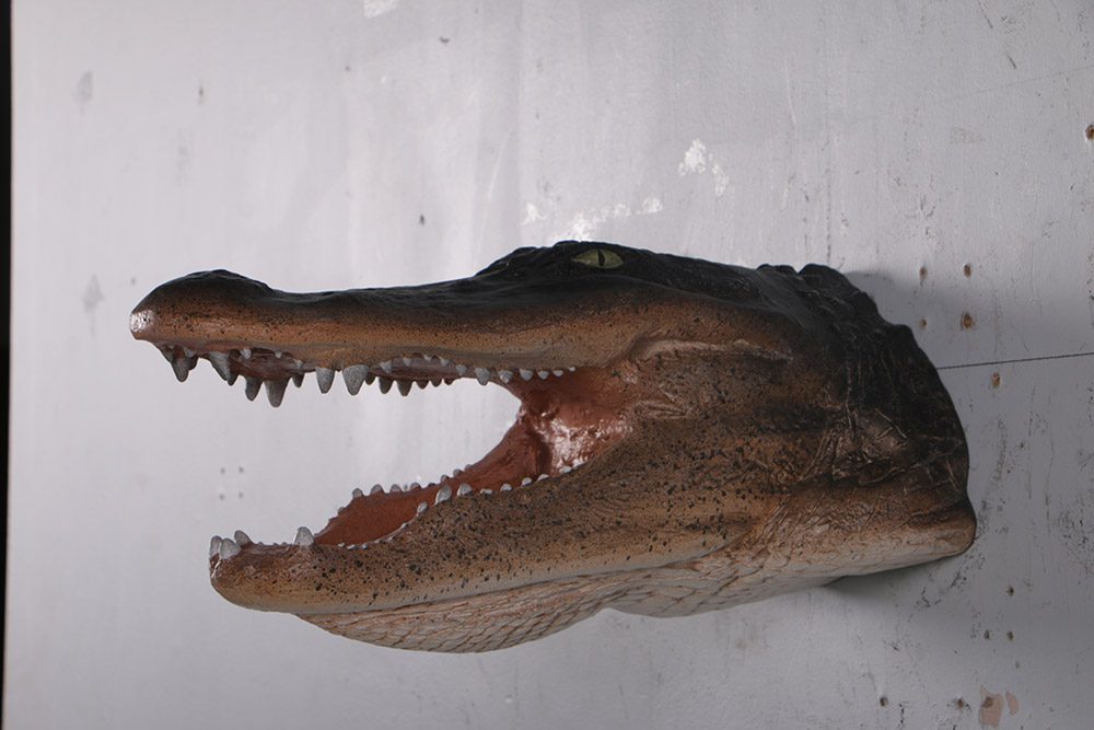 Natureworks Australia Alligator Head - Wall decor - Image 3