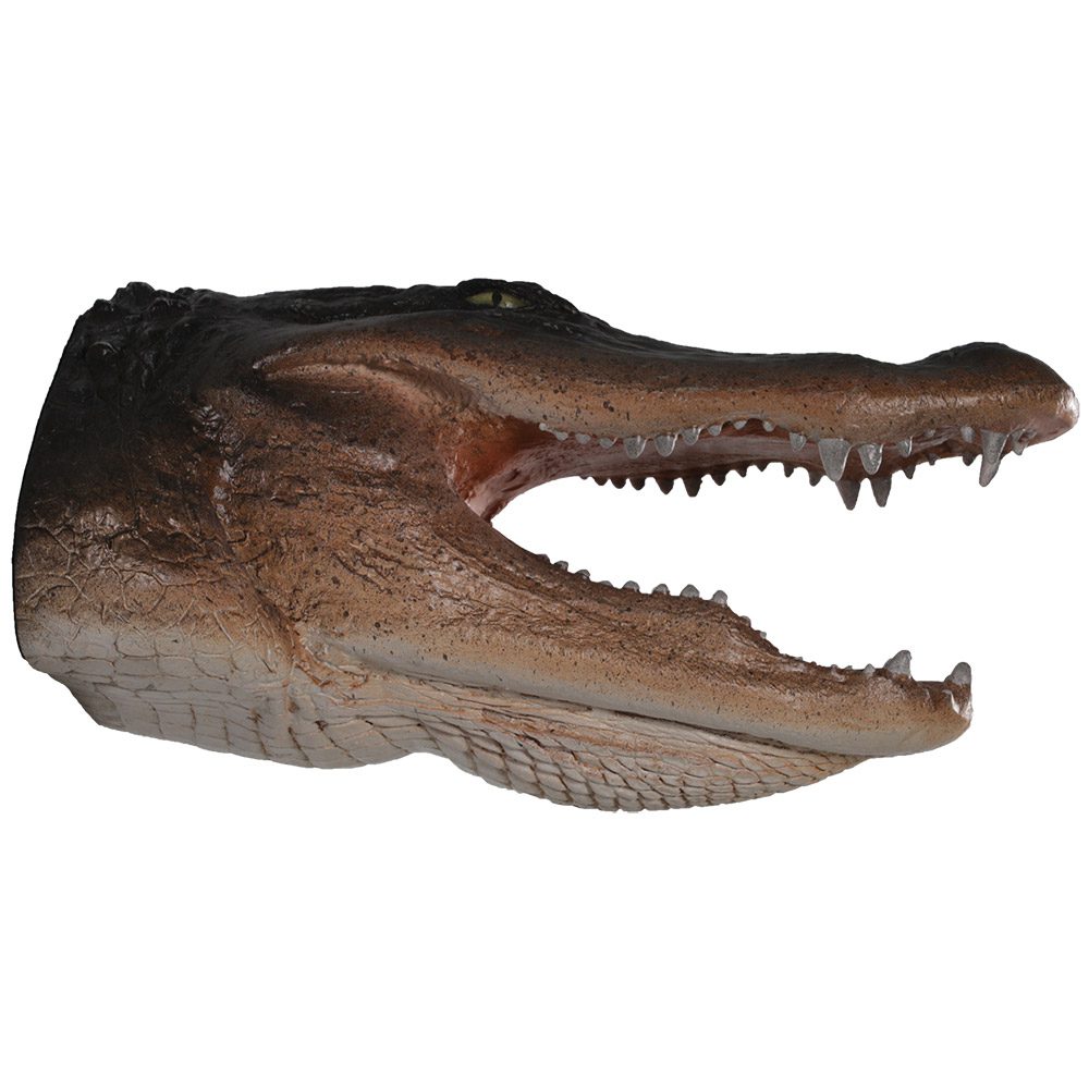 Alligator Head - Wall decor