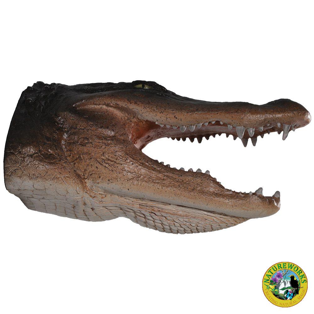 Alligator Head - Wall decor