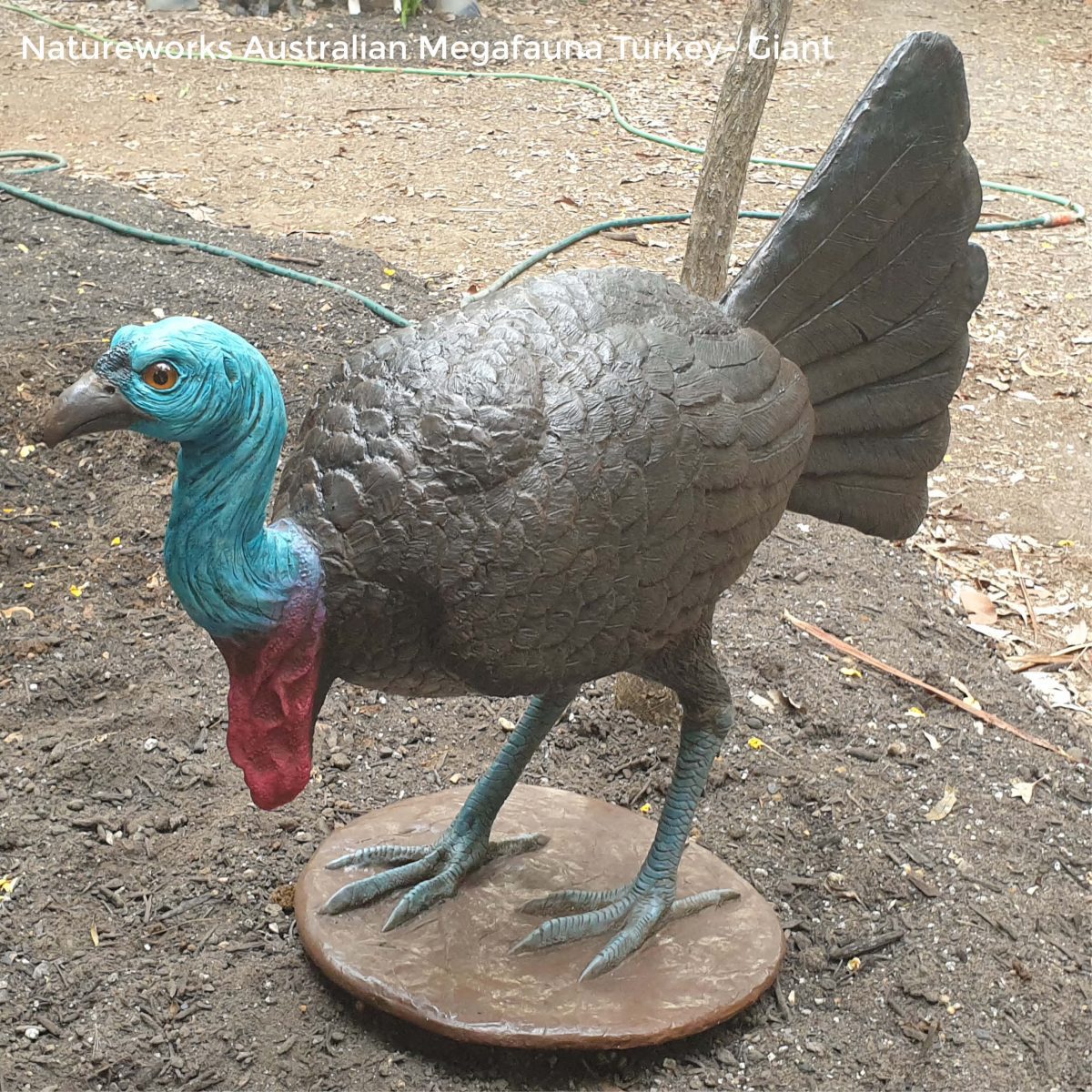 Natureworks Australia Megafauna Turkey - Giant - lifesize replica