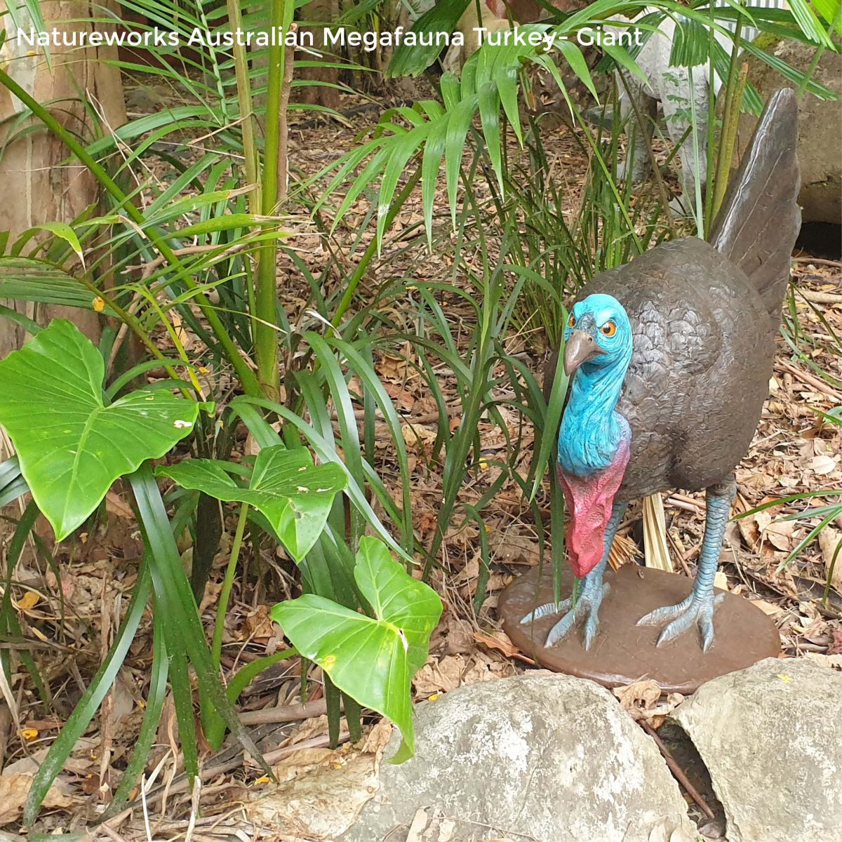 Natureworks Australia Megafauna Turkey - Giant - lifesize replica- front view