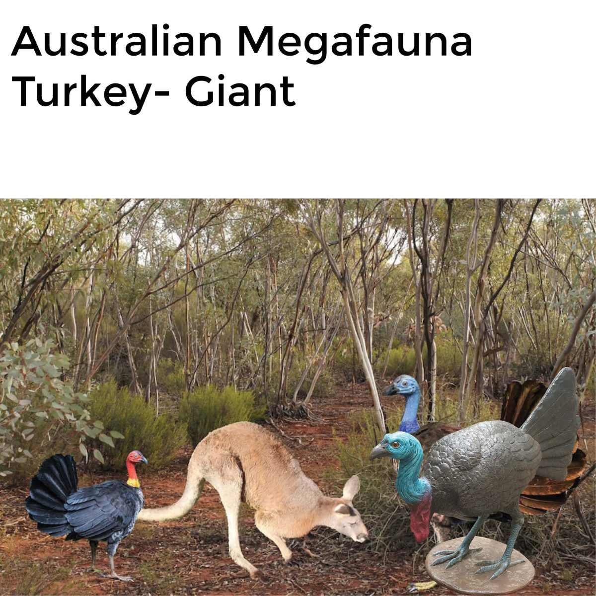 Natureworks Australia Megafauna Turkey - Giant - lifesize replica
