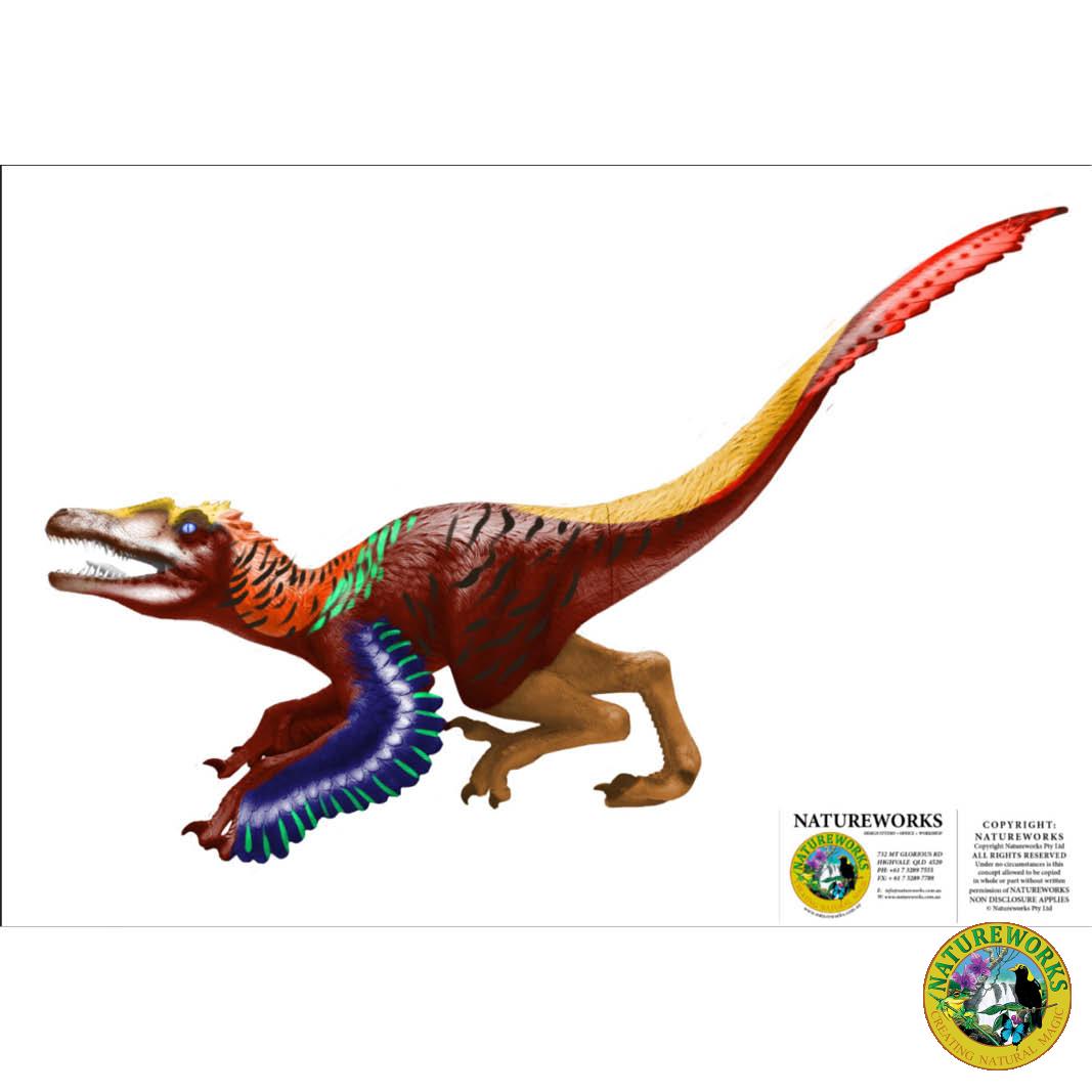 Natureworks Australia Velociraptor Dinosaur - Feathered - Image 12