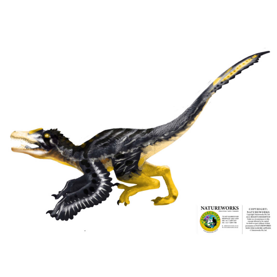Natureworks Australia Velociraptor Dinosaur - Feathered - Image 11