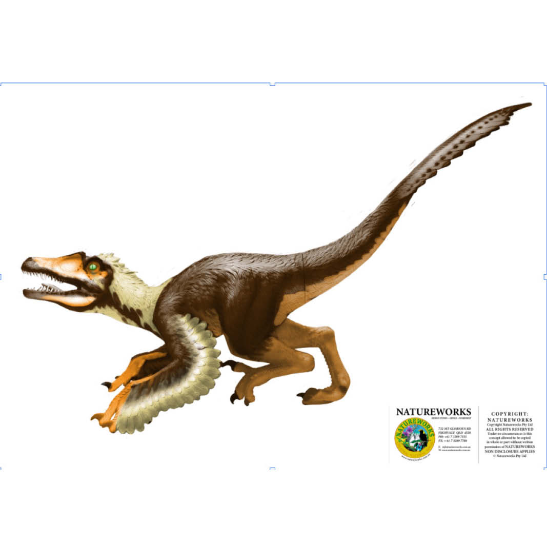 Natureworks Australia Velociraptor Dinosaur - Feathered - Image 13