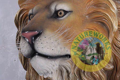 Natureworks Australia Lion King's Head - Image 2
