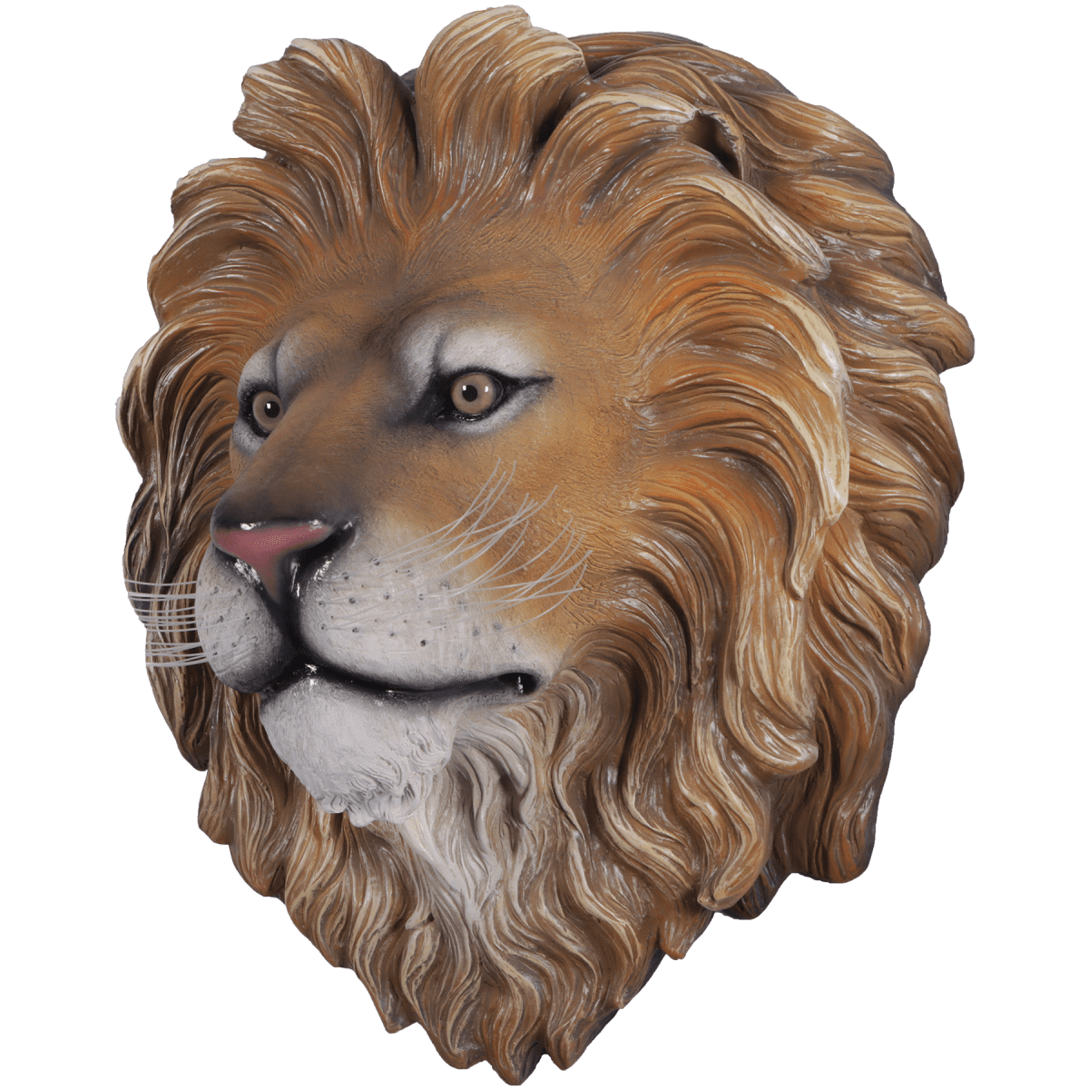 Natureworks Australia Lion King's Head