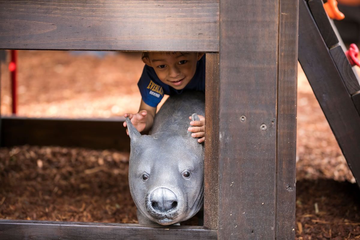 Natureworks Australia Young boy with wombat sculpture