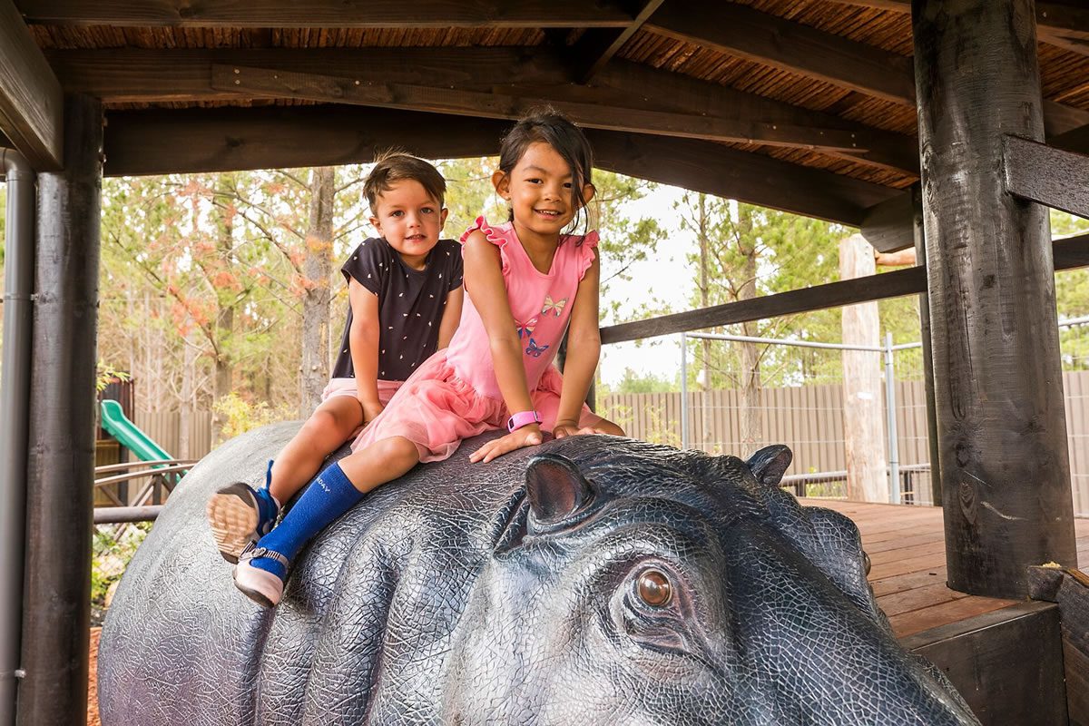 Natureworks Australia Children riding hippo playground sculpture