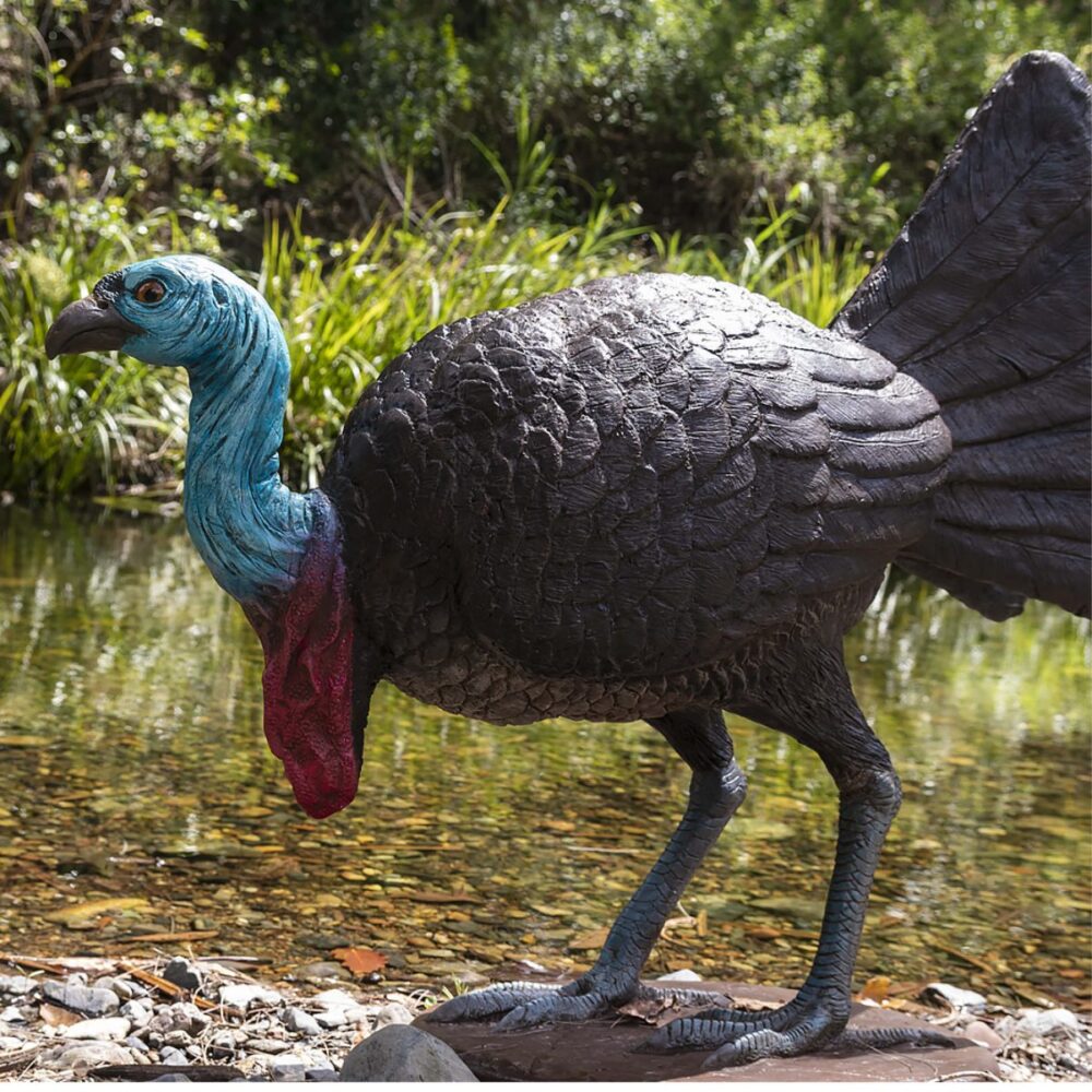 Brush Turkey reproduction