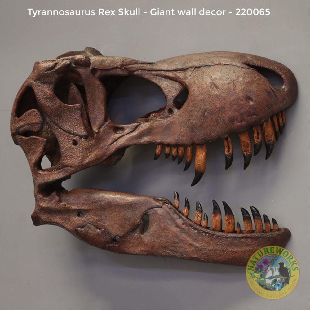 Tyrannosaurus Rex skull,- Wall decor
