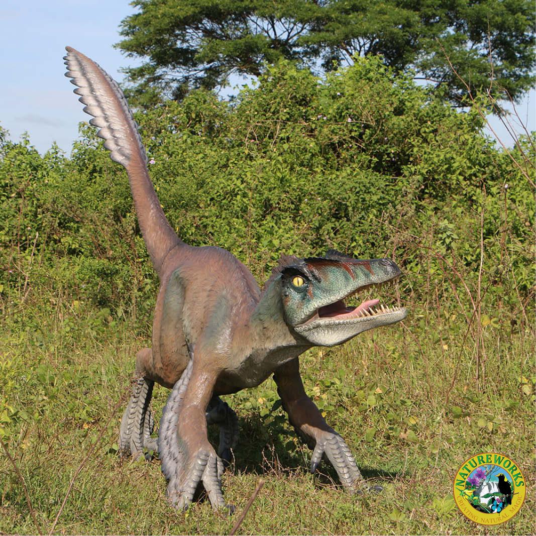 Natureworks Australia Feathered Velociraptor dinosaur - 220079 - shown outside - front view
