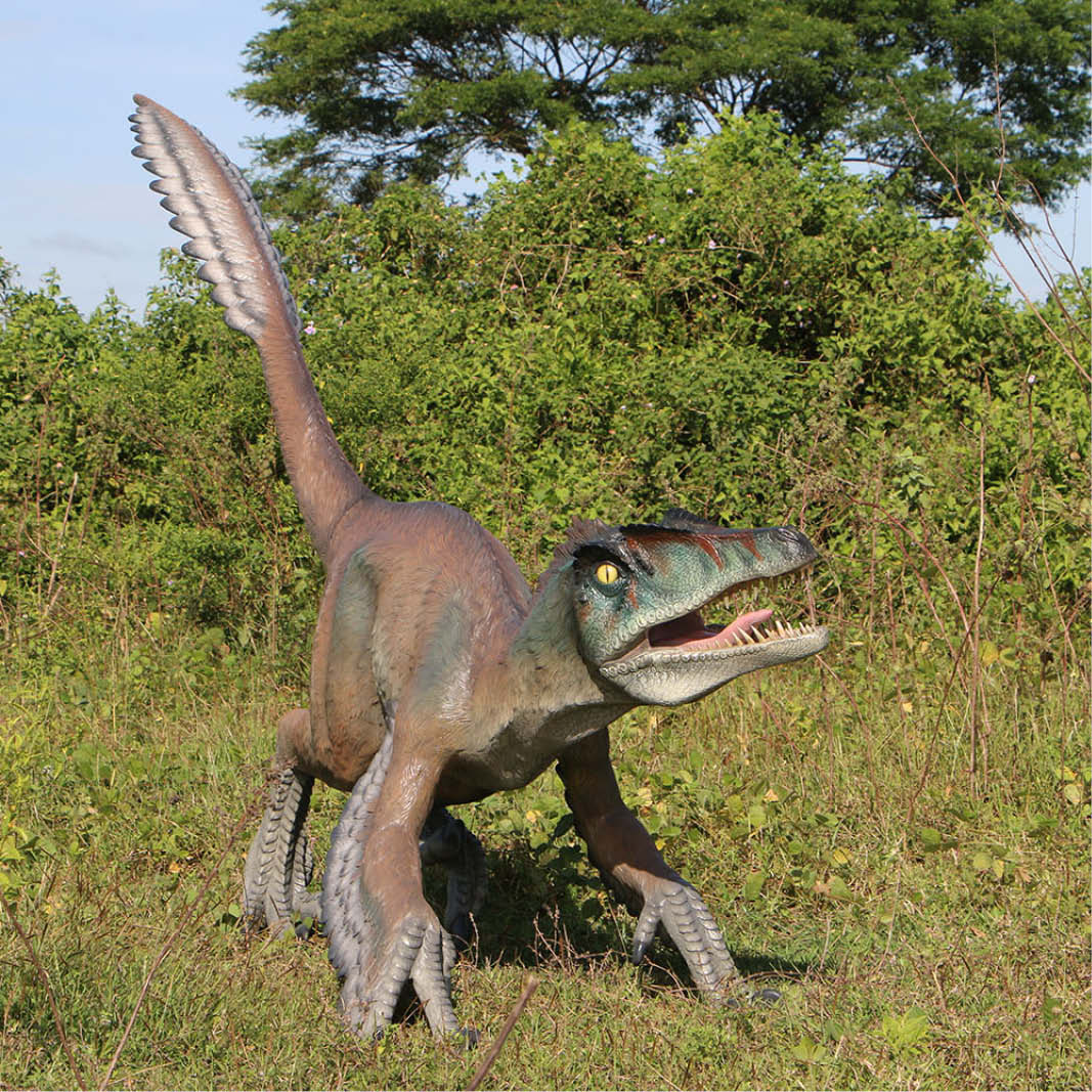 Natureworks Australia Feathered Velociraptor dinosaur - 220079 - shown outside - front view