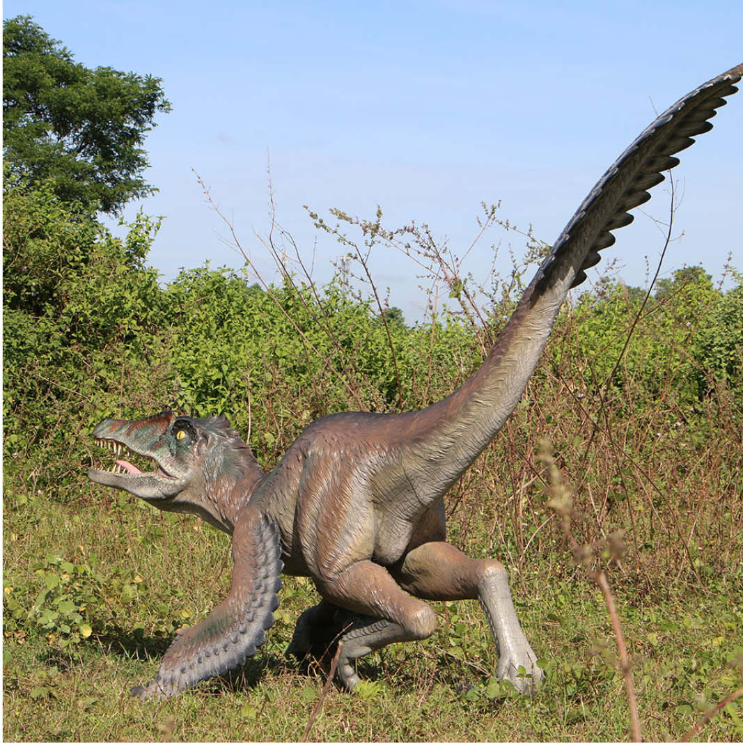 Natureworks Australia Feathered Velociraptor dinosaur - 220079 - shown outside - rear angle view