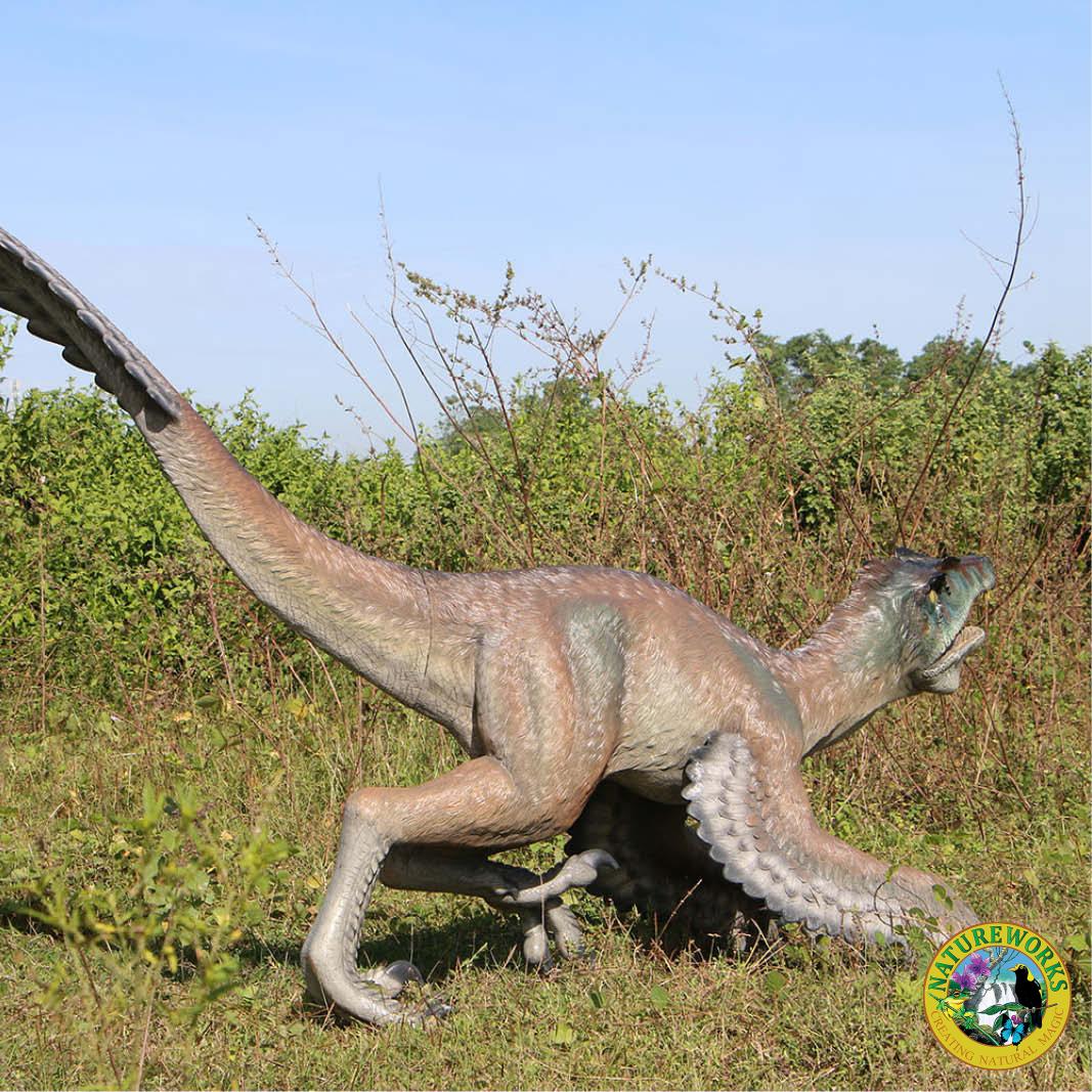 Natureworks Australia Feathered Velociraptor dinosaur - 220079 - shown outside - rear angle view