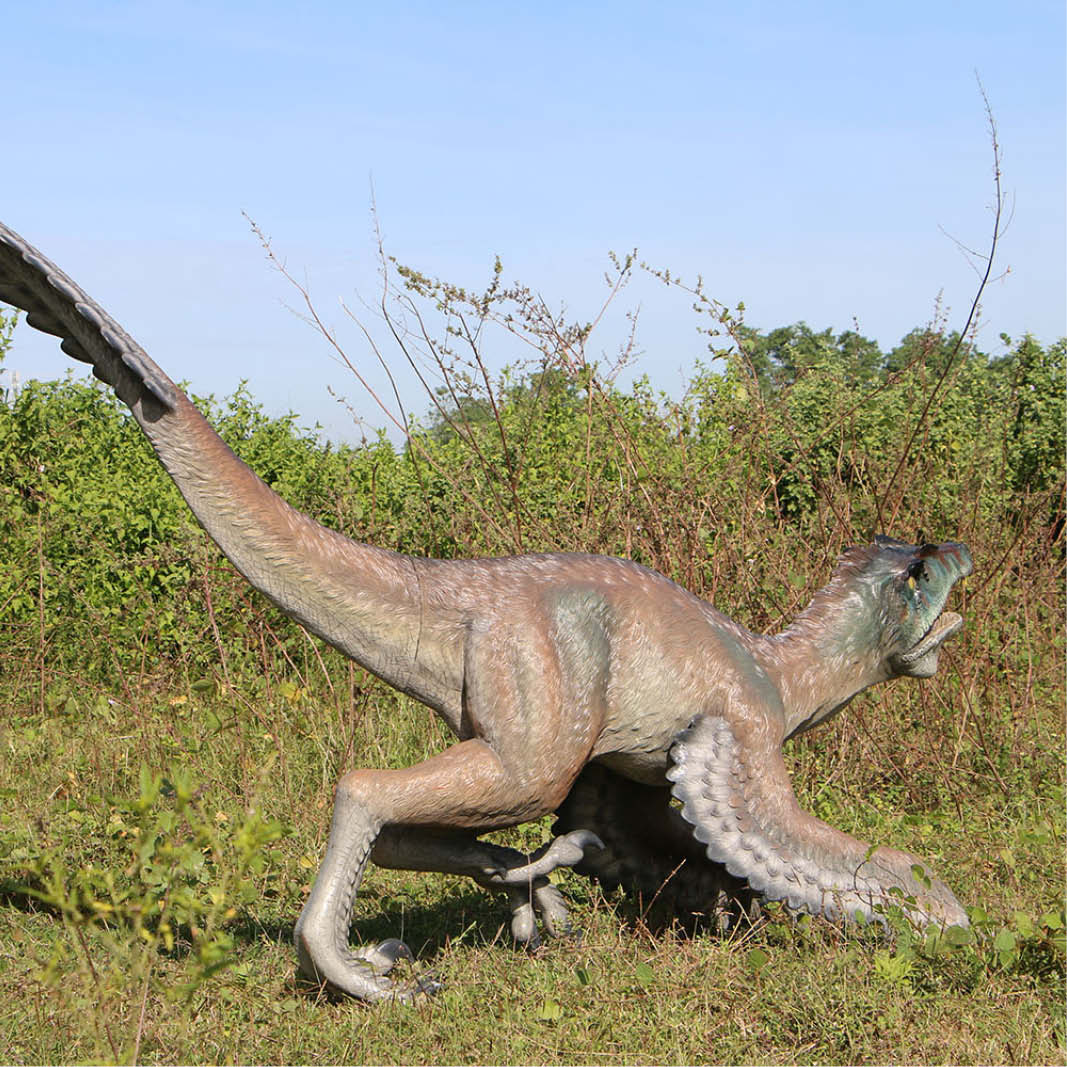 Natureworks Australia Feathered Velociraptor dinosaur - 220079 - shown outside - rear angle view