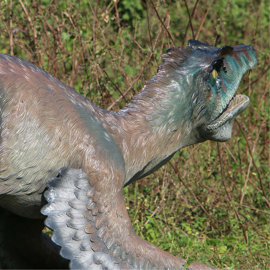 Natureworks Australia Feathered Velociraptor dinosaur - 220079 - shown outside - rear head view
