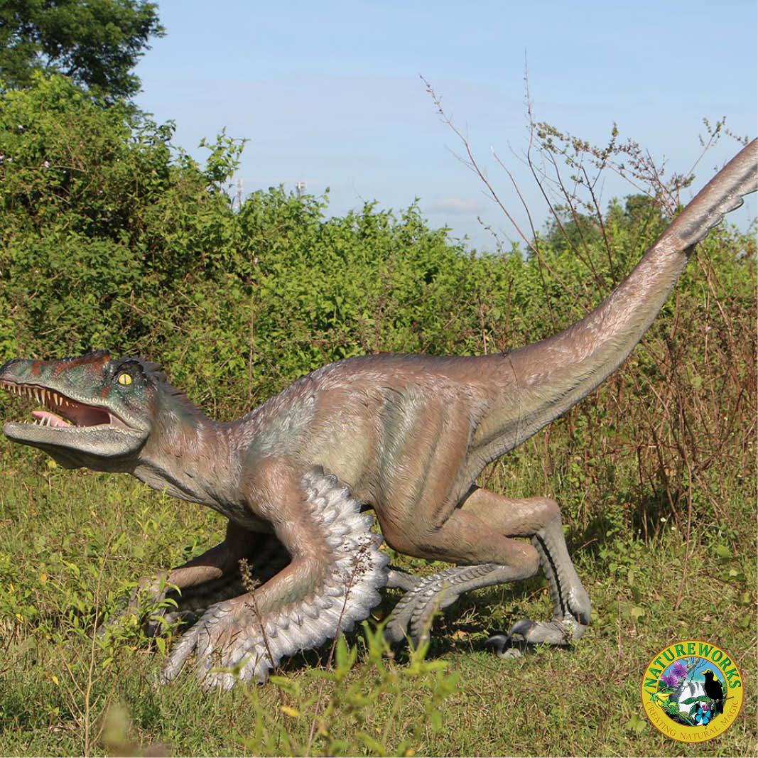 Natureworks Australia Feathered Velociraptor dinosaur - 220079 - shown outside - side view