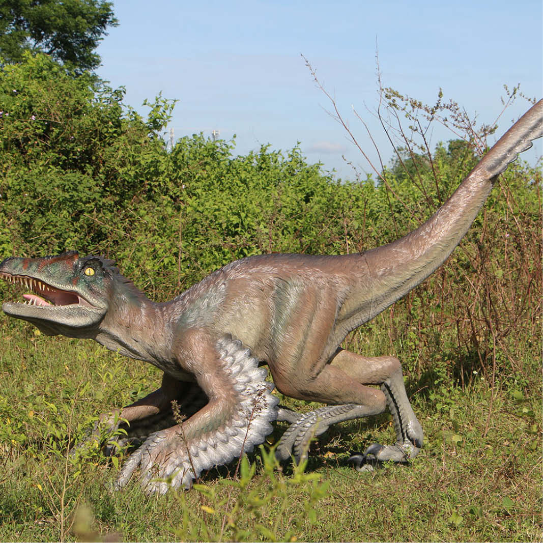 Natureworks Australia Feathered Velociraptor dinosaur - 220079 - shown outside - side view