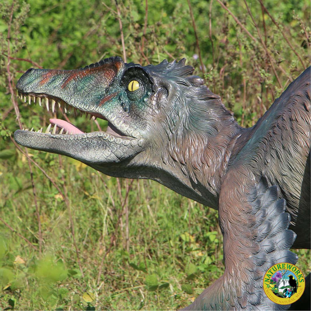 Natureworks Australia Feathered Velociraptor dinosaur - 220079 - shown outside - side view of head looking Left