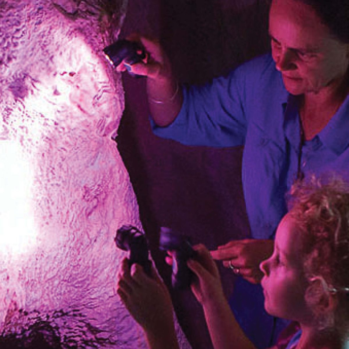 Natureworks Australia Wollongong University Science Centre - Image 9