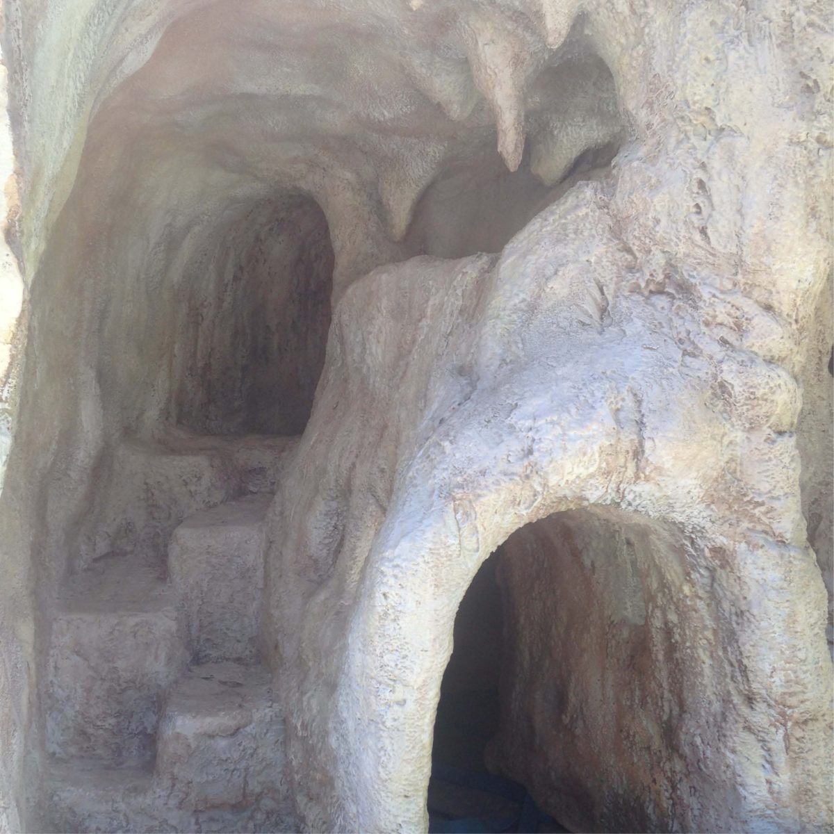 Natureworks Australia Wollongong University Science Centre - Image 2