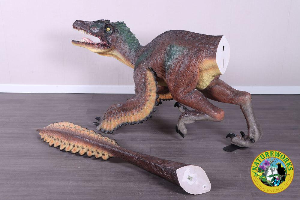 Natureworks Australia Velociraptor Dinosaur - Feathered - Image 4