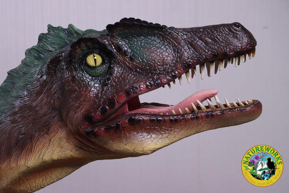 Natureworks Australia Velociraptor Dinosaur - Feathered - Image 7