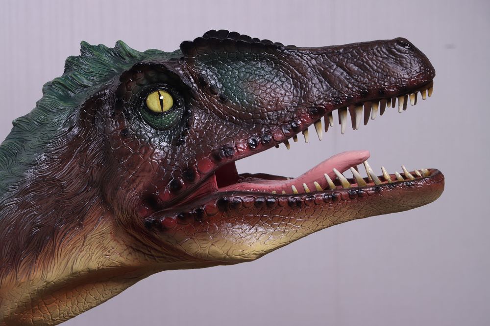 Natureworks Australia Velociraptor Dinosaur - Feathered - Image 7