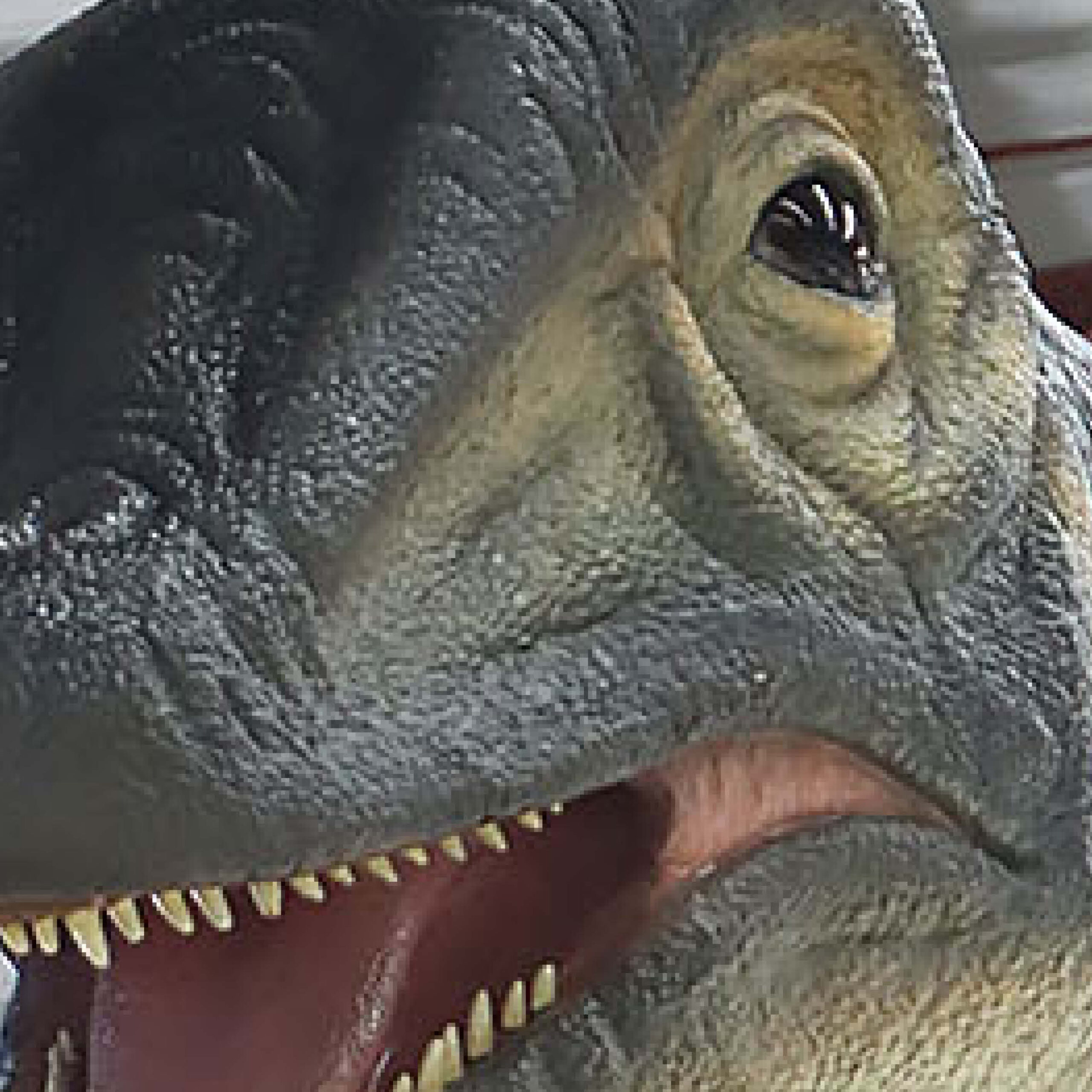 Natureworks Australia Australotitan-cooperensis-210199-showing head and eys close up-210199-Giant dinosaur