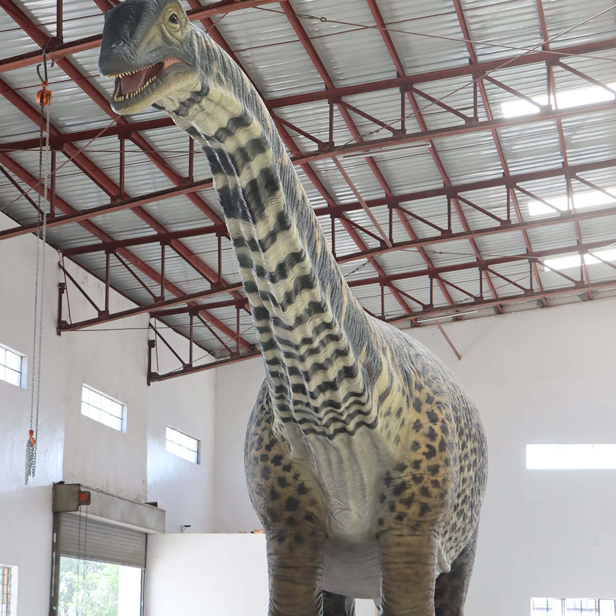 Natureworks Australia Australotitan-cooperensis-210199-standing front view-210199-Giant dinosaur